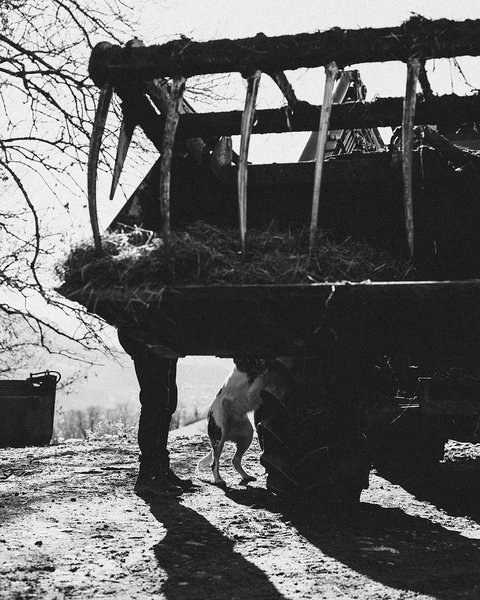 Chemin de Terre documentaire 09